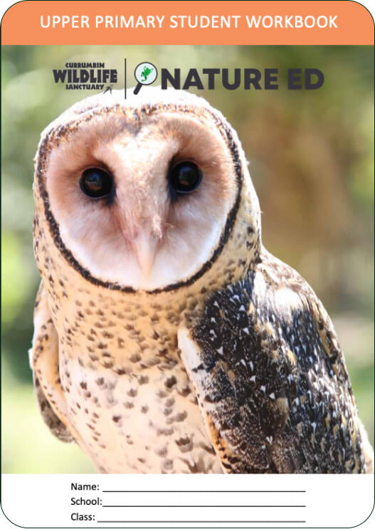 Close-up of an owl's face and upper body, featured on a nature education workbook cover.