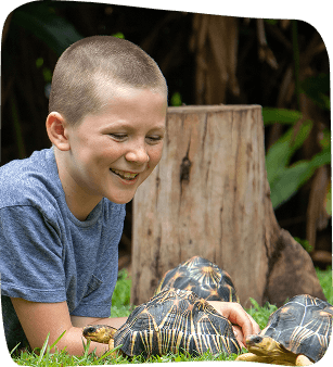 A boy with short hair, smiling, lies on the grass interacting with several patterned tortoises.