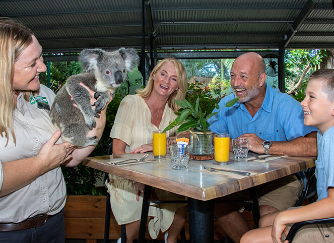 Family enjoying breakfast with a koala at an outdoor cafe.