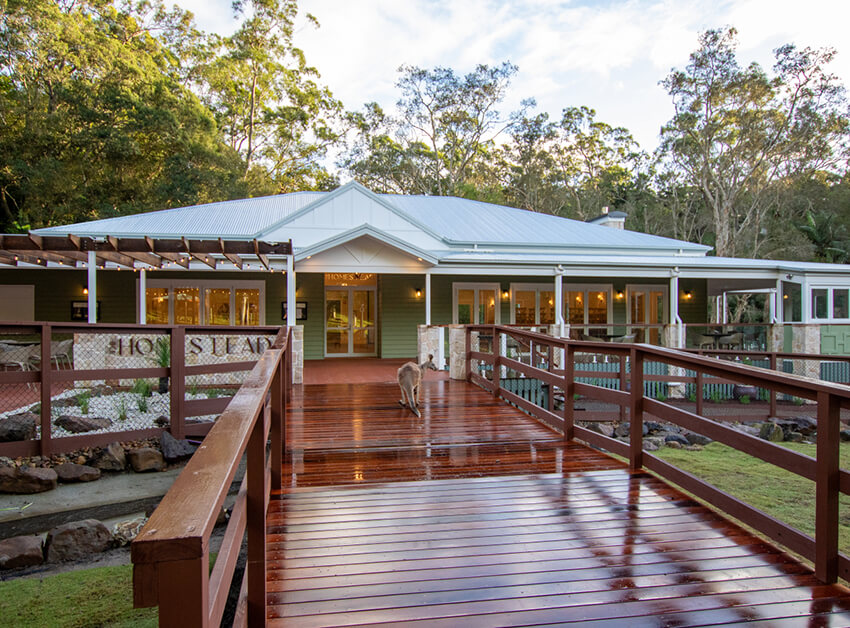 Green-sided building with a veranda and wooden deck, nestled within a wooded area.