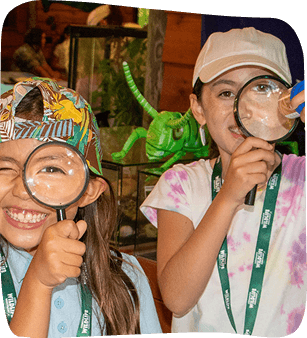 Two children, smiling and holding magnifying glasses, explore insects at a natural history museum.