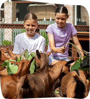 Two girls with goats, feeding them leaves in a petting zoo setting.