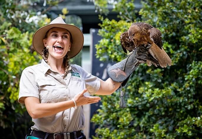 Woman in khaki shirt and hat holding a brown raptor in a leather glove, likely a falconry demonstration.