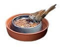 A sparrow perched on a bird feeder, consuming seeds within a terracotta-colored bowl.
