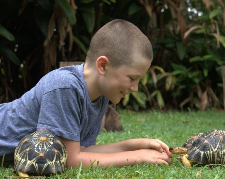A young boy lies on grass outdoors, smiling and reaching out to touch a tortoise, with another tortoise nearby; green plants are in the background.