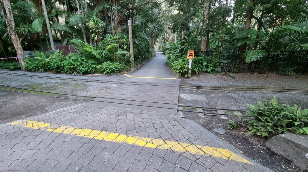 A paved pedestrian crossing over train tracks, marked by yellow lines, in a lush, tropical garden setting.