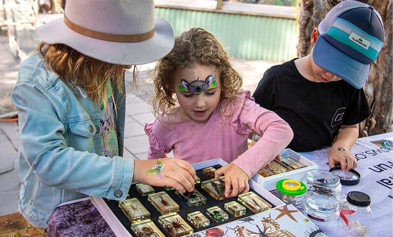 Three children engaging in an educational activity, closely examining various insects and arachnids preserved in resin blocks.