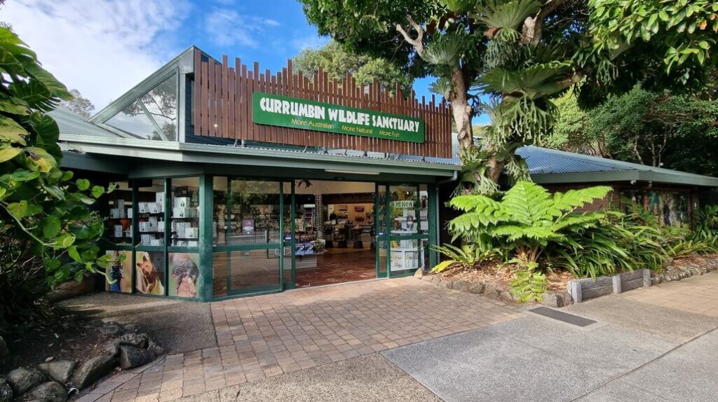 Currimundi Wildlife Sanctuary gift shop entrance, featuring displays of wildlife and merchandise.