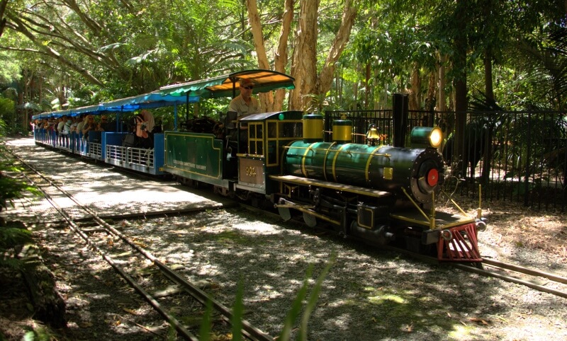 Green and blue train with passengers on a track through a lush, wooded area.