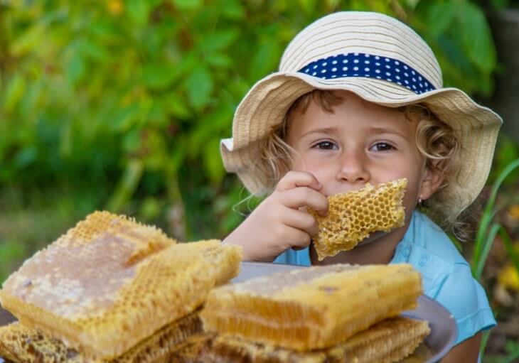 Young girl wearing a light-colored hat with a blue and white polka dot band, holding and eating a piece of honeycomb.