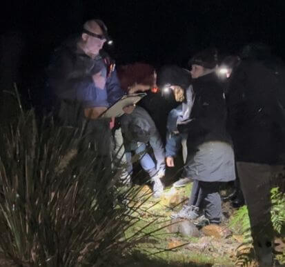 A group of people wearing headlamps examine the ground and take notes outdoors at night.