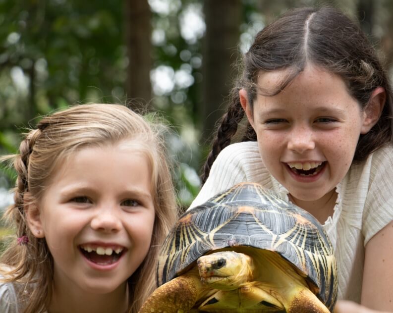 Two young girls smiling outdoors with a tortoise in the foreground, surrounded by greenery.