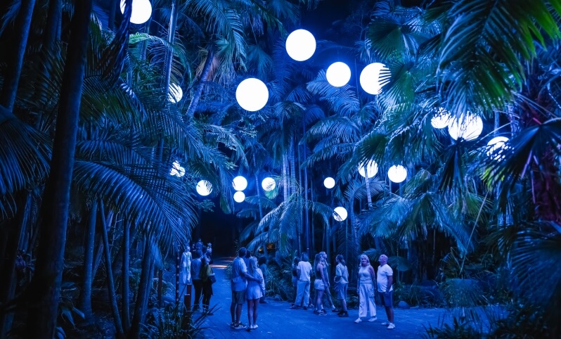 A group of people stand on a path surrounded by palm trees at night, illuminated by large, glowing spherical lights hanging above.