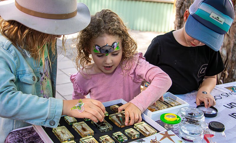 Children with face paint examine preserved insects in display cases.