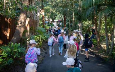 Students in a group walk a path through a lush, wooded area.