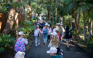 Students in a group walk a path through a lush, wooded area.