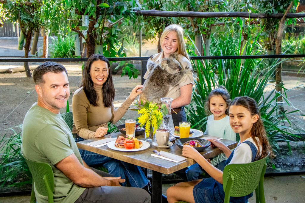 Family Koala Breakfast