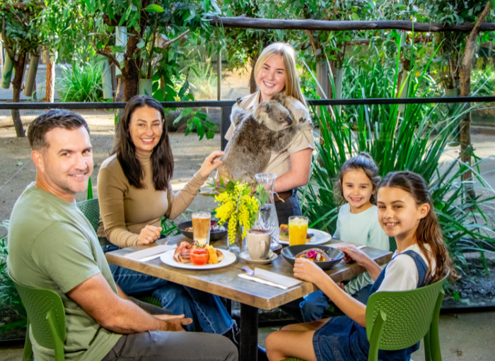 koala breakfast family kids