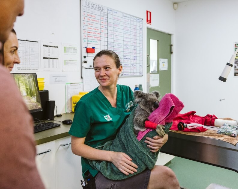A veterinarian in green scrubs holds a koala wrapped in towels while talking to colleagues in a clinical room.