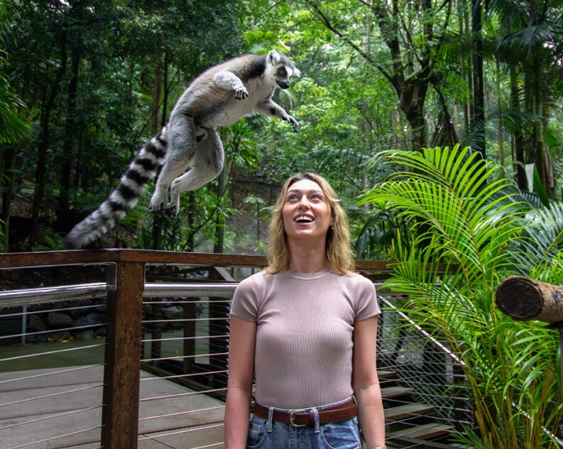 A woman stands on a walkway in a lush enclosure as a ring-tailed lemur leaps through the air above her head.