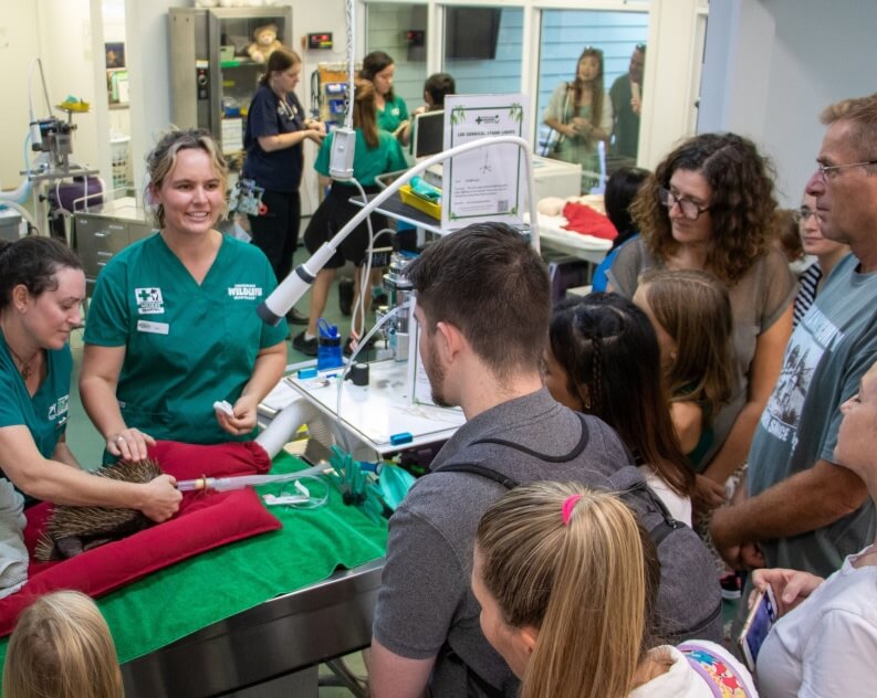 Veterinary staff treat an animal patient in a clinic while a group of adults and children observe the procedure.