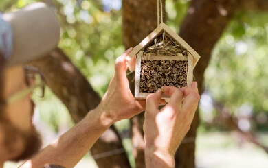 Person's hands carefully position a small, wooden bee house with a complex honeycomb structure.