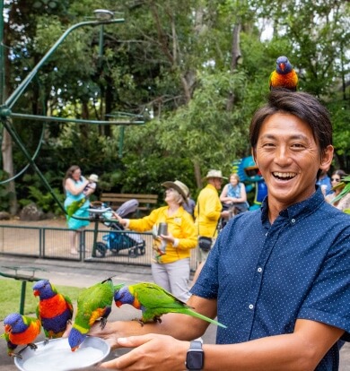 Smiling man interacting with colorful parrots at an outdoor zoo enclosure.
