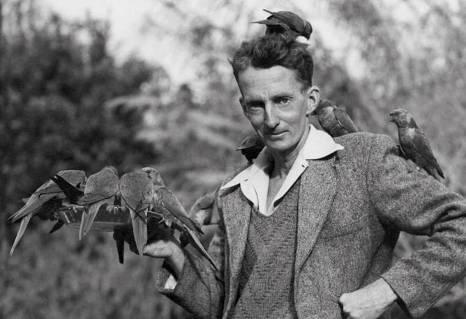Man with multiple birds perched on him and on his shoulder, holding a tray with more birds.