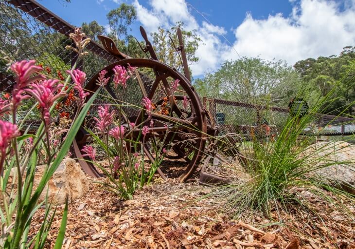 A rusted metal wheel sits in a mulched garden bed with pink flowers and green plants, beside a chain-link fence under a partly cloudy sky.