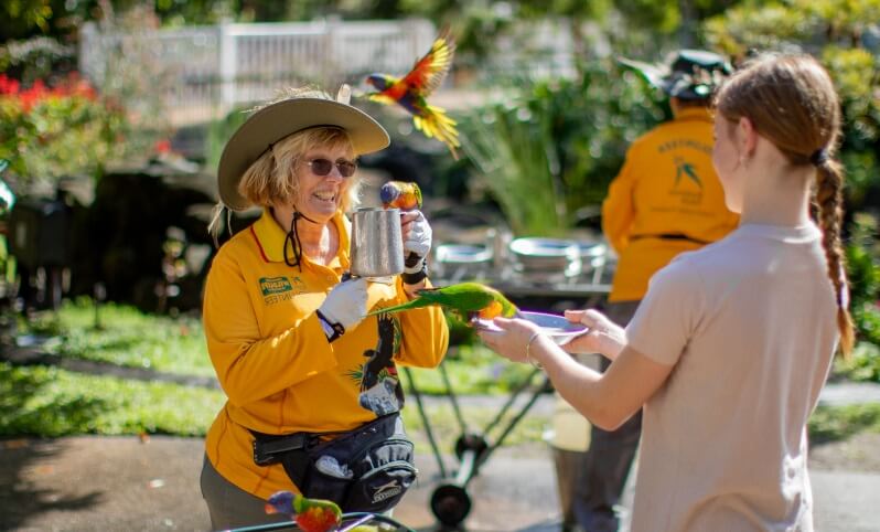 A staff member in a yellow shirt helps a visitor feed colorful parrots outdoors at a wildlife park.