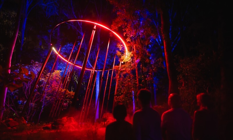 Four people observe an illuminated outdoor art installation with glowing red and purple lights and vertical poles among trees at night.