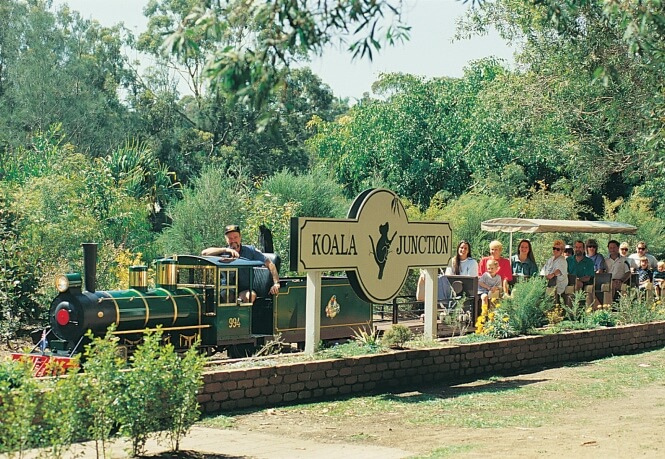 A green and black steam engine train numbered '994' travels through a lush, green area carrying passengers in an open carriage.