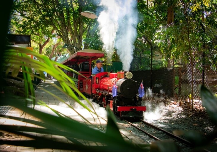 A small red steam train with a driver moves along narrow tracks through a lush, green, outdoor setting with visible steam and surrounding foliage.