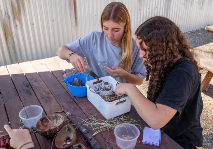 Two young women conduct a nature study, examining small creatures and plant matter in containers on a wooden table outdoors.