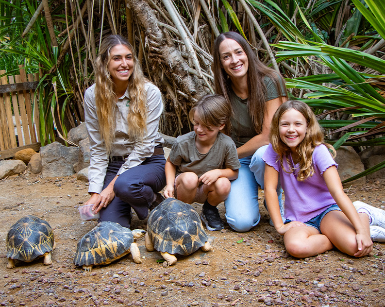 family meet radiated tortoises