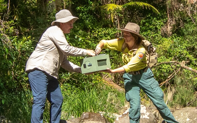 Two people outdoors carefully holding a green box together, surrounded by dense vegetation and sunlight.
