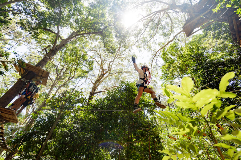 Treetop challenge person walking on cable