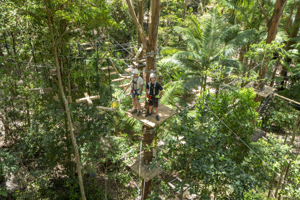 treetop challenge people standing on platform amongst trees