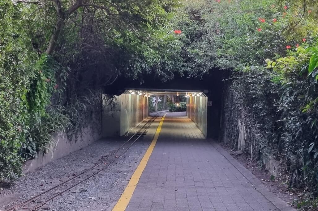 A pathway leading through a tunnel surrounded by dense vegetation. The tunnel has a yellow line running down the center and small railway tracks on the left side.