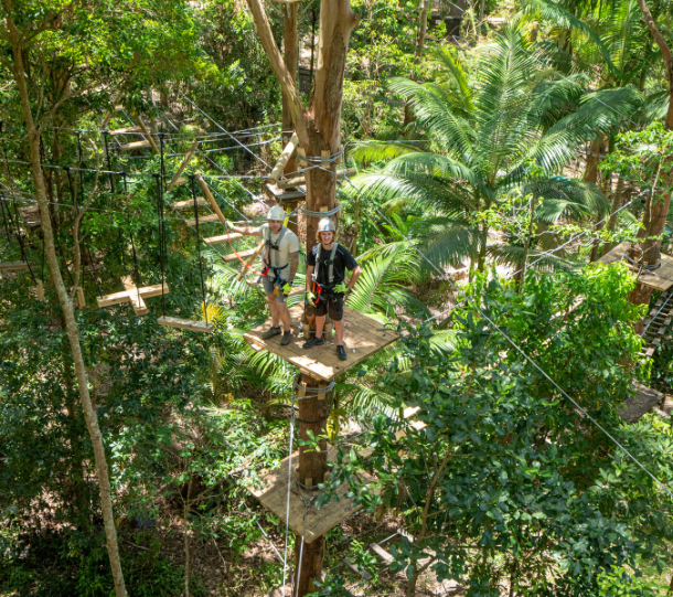 Two people standing on platform at treetop challenge