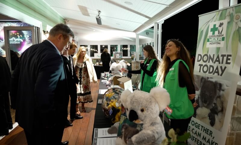 People interact at a fundraising event table for the Currumbin Wildlife Hospital, featuring donation materials and stuffed toy koalas.