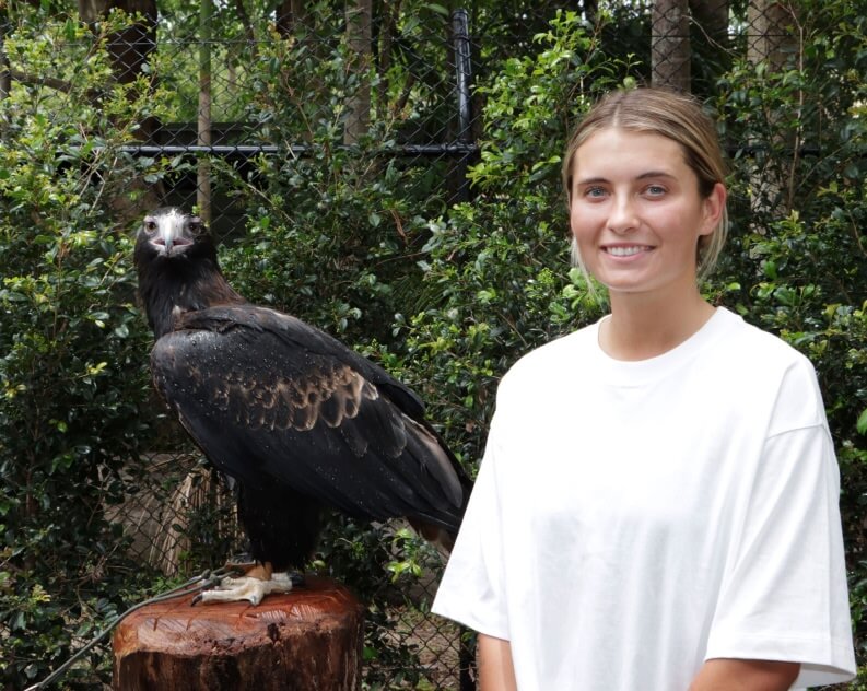 A woman in a white shirt stands next to a large black bird of prey perched on a wooden stump, with greenery and a wire fence in the background.