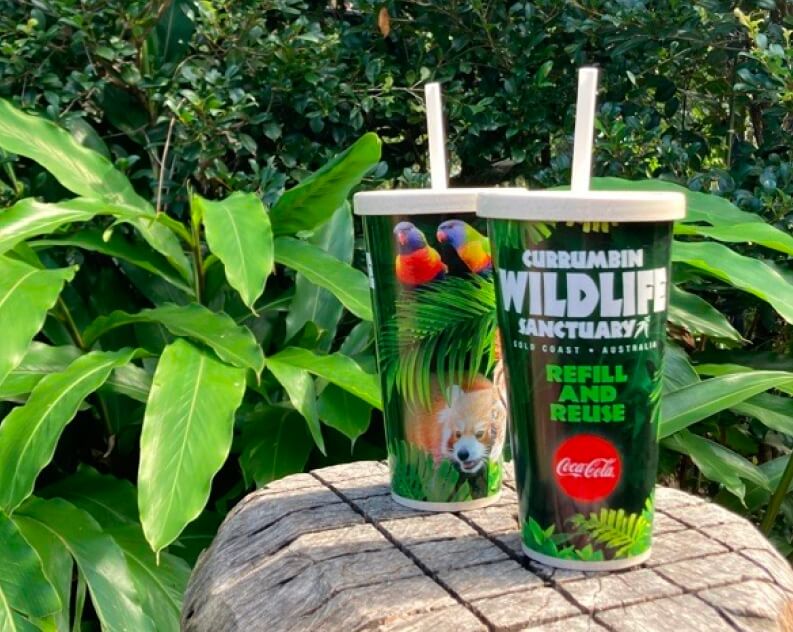 Two plastic cups with lids and straws sitting on a wooden surface, surrounded by lush green foliage. The cups are branded with 