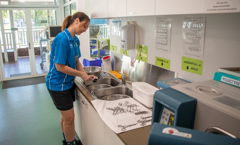 A person in a blue shirt cleans surgical instruments at a sink in a medical or veterinary clinic, with sterilization equipment nearby.