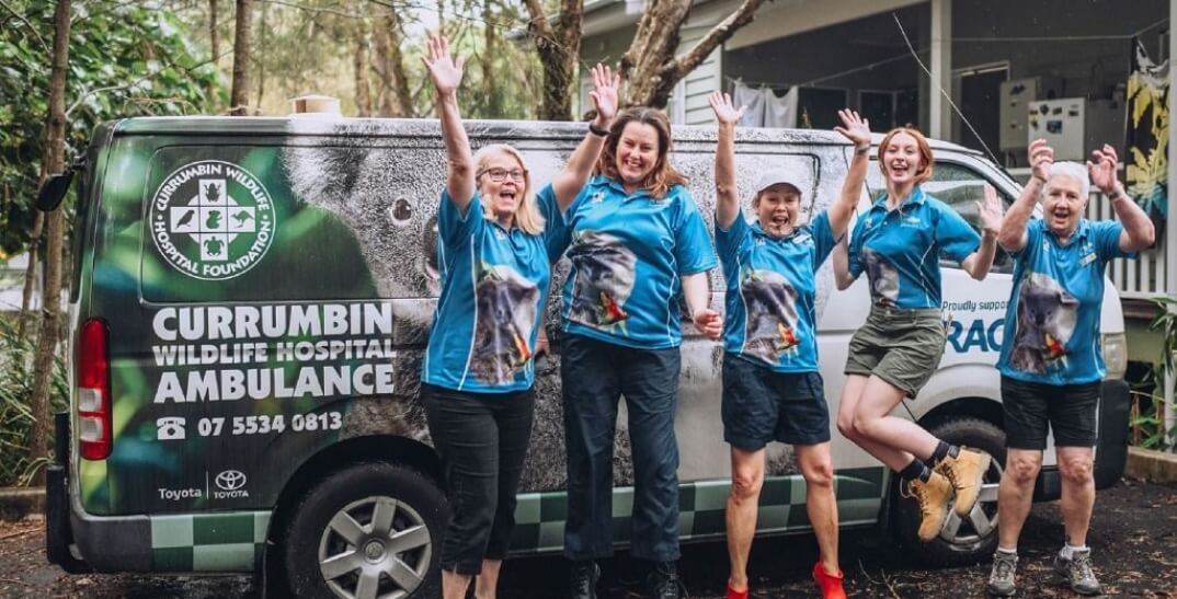 Five women wearing matching blue wildlife shirts stand and jump in front of a Currumbin Wildlife Hospital ambulance van, smiling and raising their arms.
