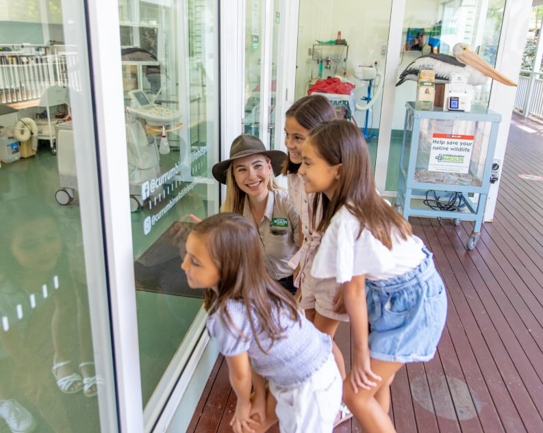 A woman wearing a hat stands with three children, all looking through a glass window into a room with animal care equipment.