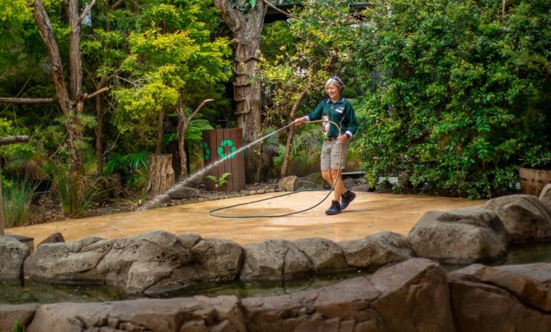 A person wearing a green shirt and shorts waters a concrete area with a hose in an outdoor setting surrounded by rocks and trees.