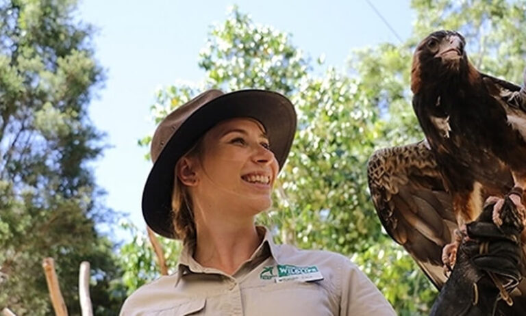 Woman in park ranger uniform holding a bird of prey, likely an eagle, outdoors.