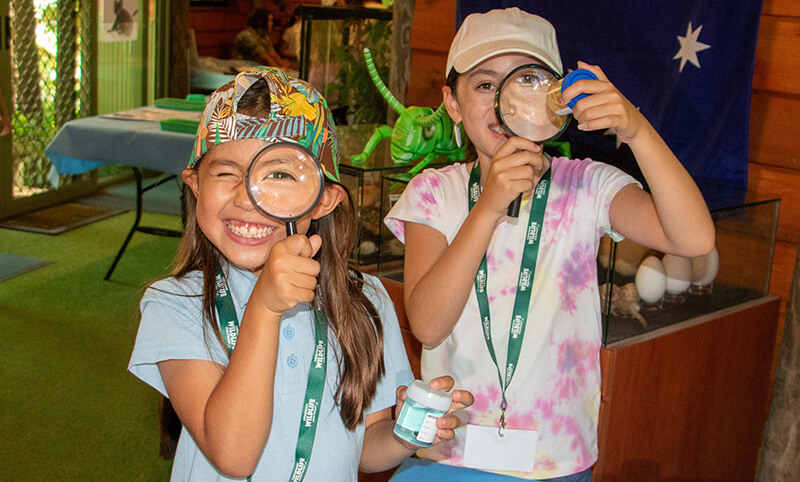 Young girls looking through magnifying glasses, explore specimens at a nature center.