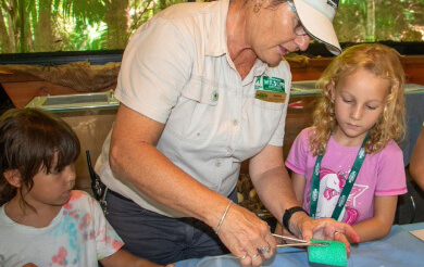 A woman volunteer demonstrates bandage application to two children at a wildlife conservation center.